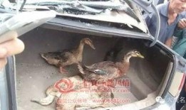 广西村民爆料新闻事件